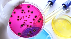 Timeline: Línea del Tiempo Microbiología