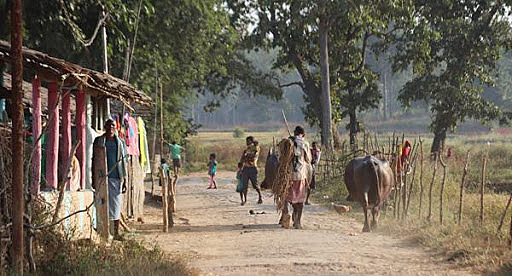 ley en la India sobre Política Forestal