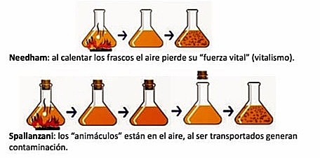 Debate: La generación espontanea