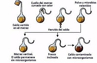 Debate: La generación espontanea (Louis Pasteur)