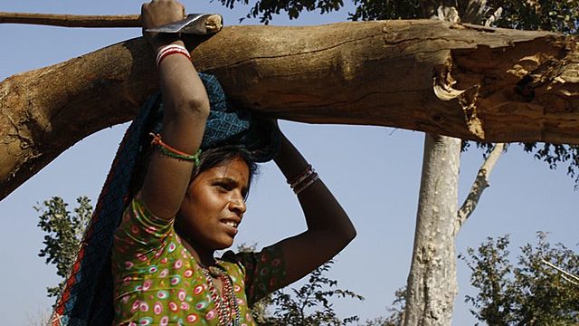 APROBACIÓN DE UNA LEY POLÍTICA FORESTAL EN LA INDIA