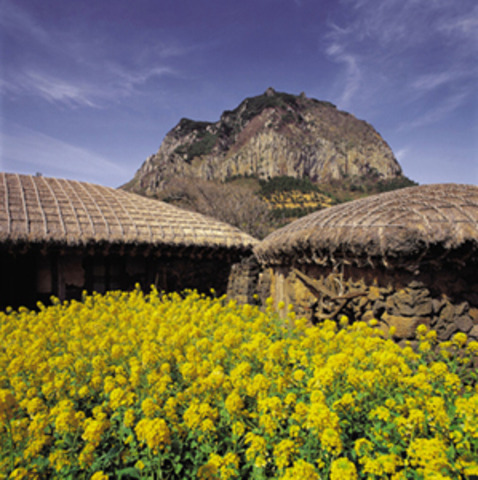 Taught English in Jeju-Do, South Korea