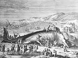 colonisation de l'ile de sable