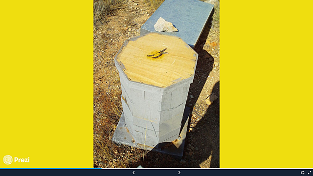 En 1.649, el inglés William Mew construyó una colmena ampliable de forma octogonal