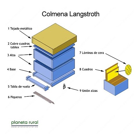En 1.851, Lorenzo L. Langstroth, inventa en Estados Unidos el marco móvil con paso de abejas de 9,5 mm.
