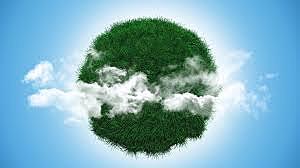 Relación local-global y el medio ambiente.