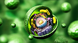 Timeline: científicos  que descubrieron las células