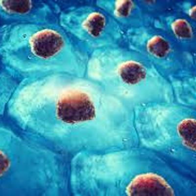 Timeline: Descubrimientos cientificos