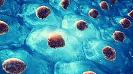 Timeline: Descubrimientos cientificos