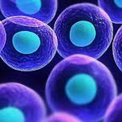 Timeline: CIENTIFICOS EL ESTUDIO DE LA TEORIA DE LAS CELULAS