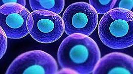 Timeline: CIENTIFICOS EL ESTUDIO DE LA TEORIA DE LAS CELULAS