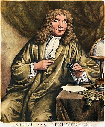 Van Leeuwenhoek