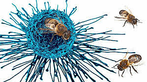 2013: Métodos de detección de Cáncer a través de abejas