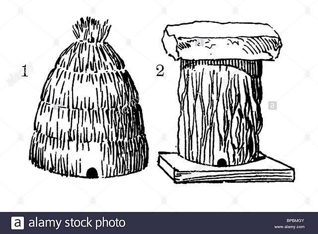 8000 a. C.: Las abejas se confinan en colmenas fijistas de arcilla, mimbre y caña.