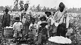 Timeline: Luke B - Slavery in the South