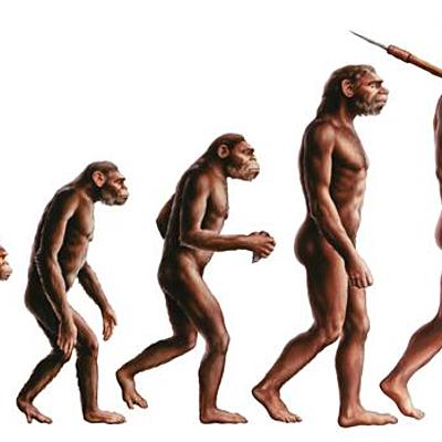 Timeline: La evolución del hombre.
