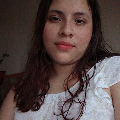 Timeline: Fernanda De La Sota Gómez tarea TIC