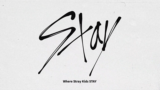 Fandom name: STAY