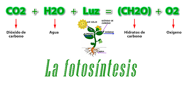 Fotosíntesis 3 mil millones de años