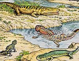 reptiles 300 millones de años