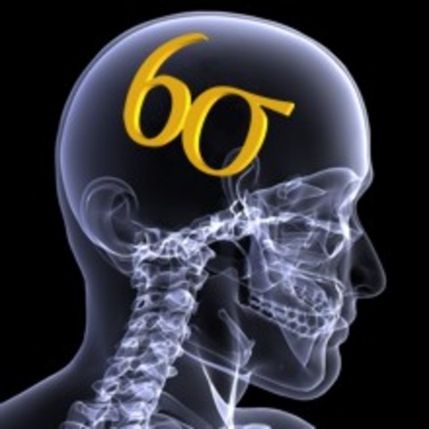 Uso de herramientas avanzadas como Seis Sigma.