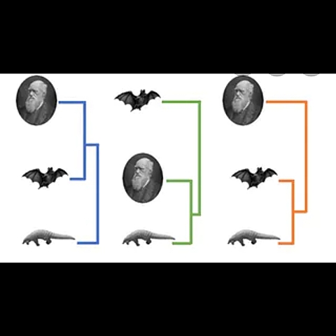Consecuencias genéticas