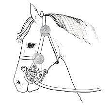 Aparición probable de herraduras, espuelas y estribos en los  caballos.