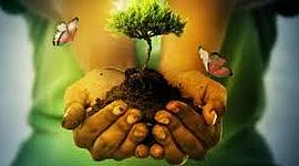 Timeline: EL SURGIMIENTO Y ESTABLECIMIENTO DE LA EDUCACION AMBIENTAL