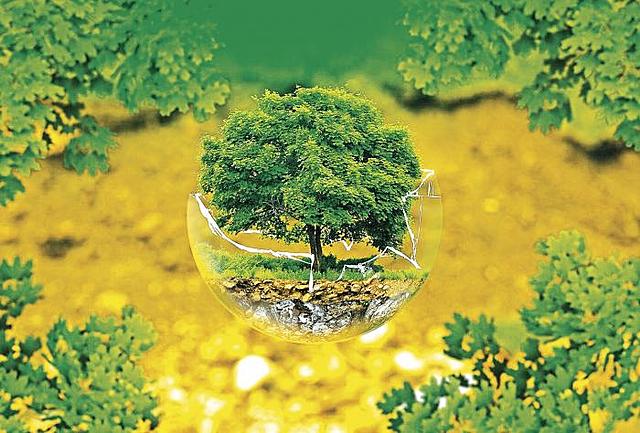 CONGRESO INTERNACIONAL