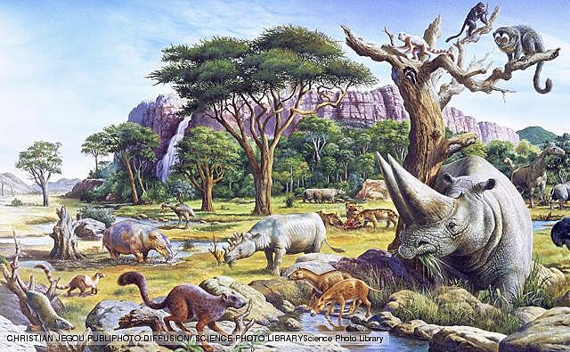 Paleocene Epoch