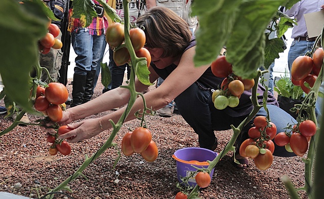 Se incluyeron asignaturas de carácter técnico en el plan de estudios.