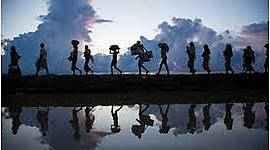 Timeline: Migraciones