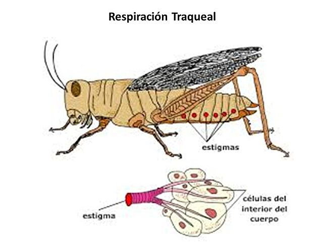 Semana 3 (sesion del 28 y del 29)