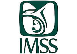 Creación del IMSS