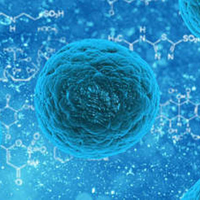 Timeline: científicos del estudio de las células