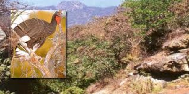 RESERVA    ESTABLECIDA