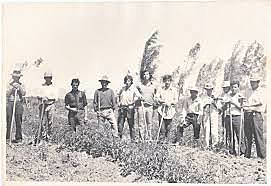 Clase obrera y campesina