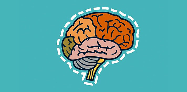 Comprensión de la afirmación y la negación en situaciones concretas