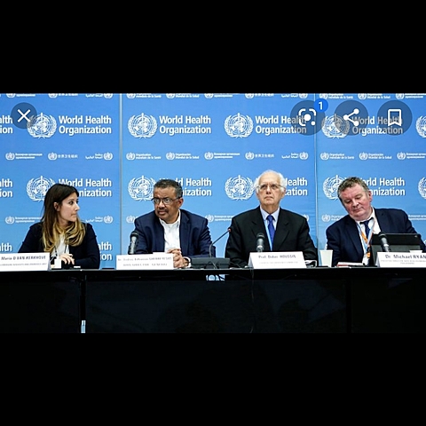 Convoca comité de la OMS