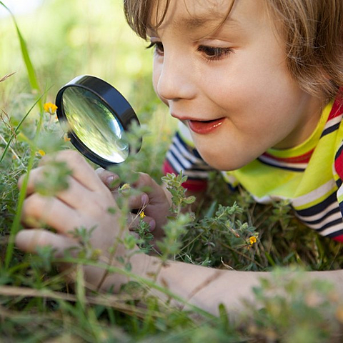 Es importante poner límites y reglas al niño