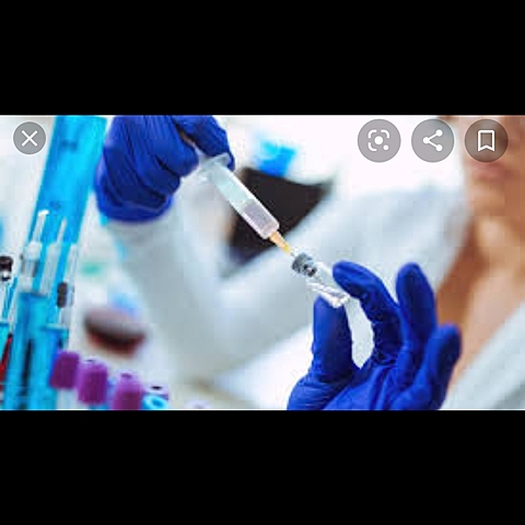 Foro de investigación