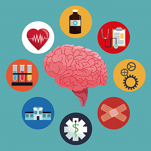 Desarrollo Neuroembriología