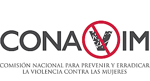 Remisión del informe donde se sustentaba la implementación de las conclusiones y propuestas a la Comisión Nacional para Prevenir y Erradicar toda Violencia contra las Mujeres CONAVIM