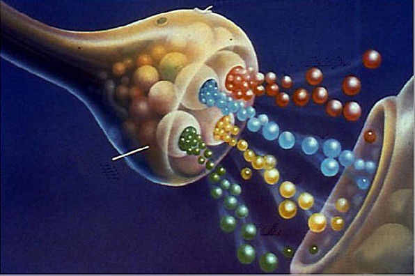 NEUROTRANSMISORES