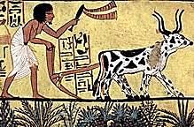 Revolución agrícola