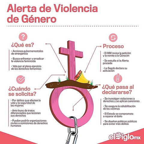 Solicitud de Declaratoria de Alerta de Violencia de Género, por feminicidio, para el Estado de Veracruz.