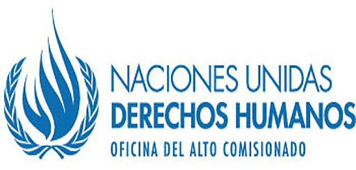 Consejo de Derechos Humanos
