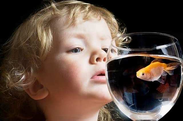 Su curiosidad es mayor a todo lo que le rodea