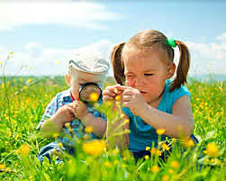 Actividades exploratorias