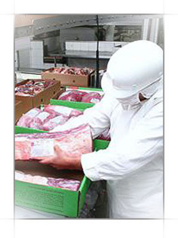 Asociación de Inspección Técnica